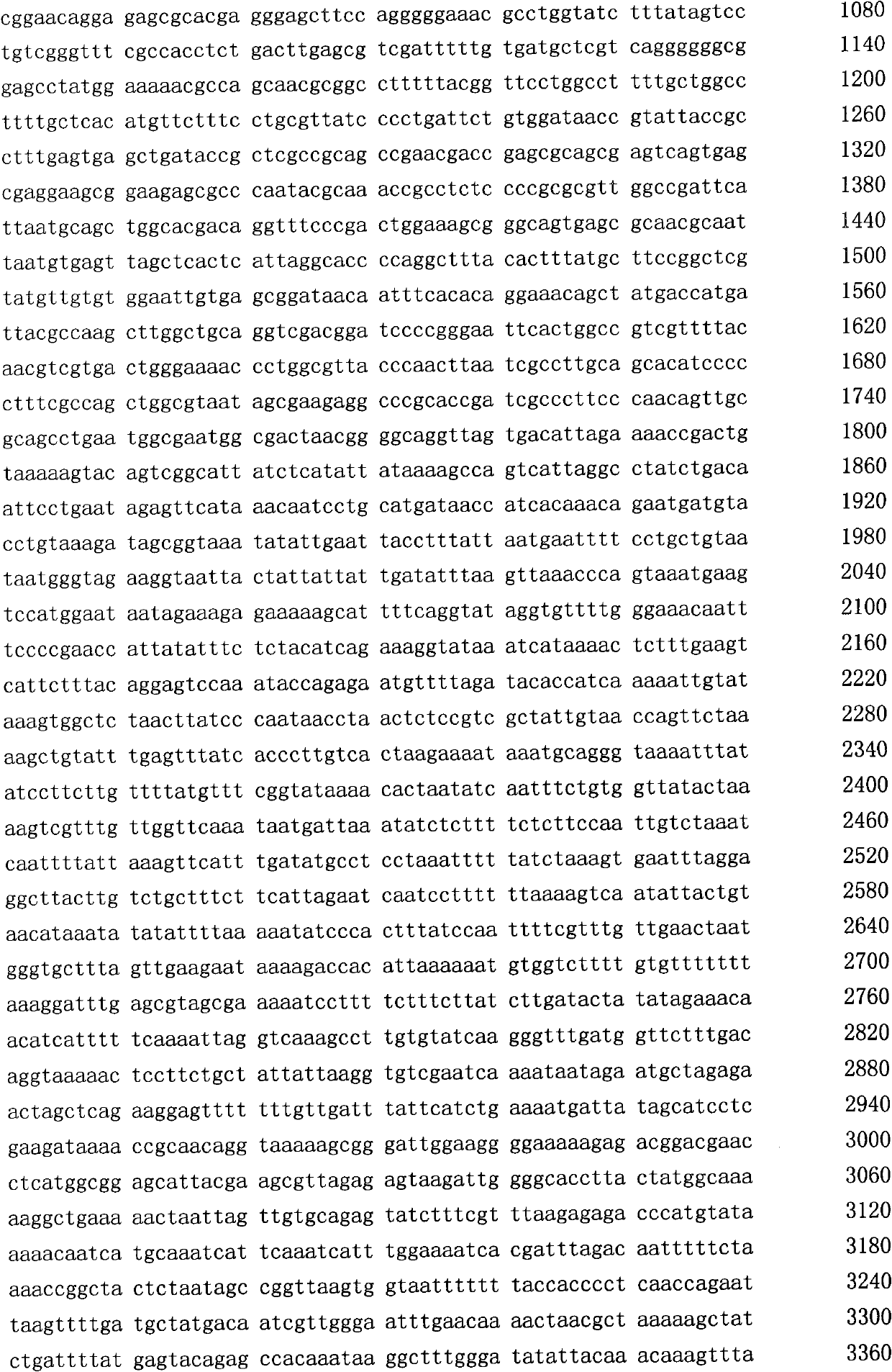 Method for producing N-acetylneuraminic acid by spore surface display system