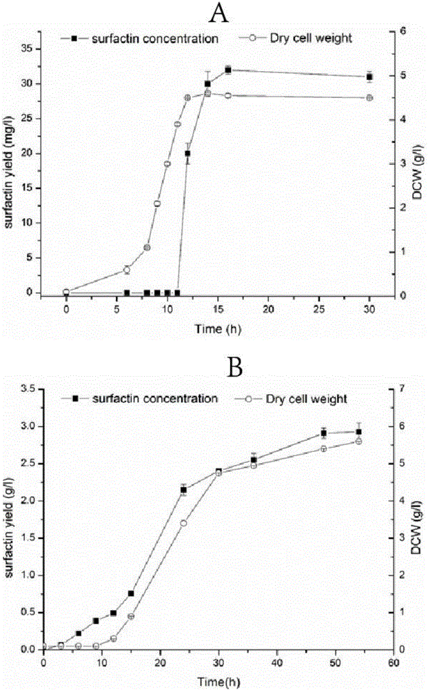 Method for producing surfactin by applying bacillus amyloliquefaciens