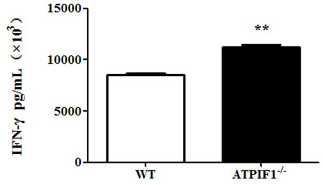 Application of atpif1 gene silenced T cells in preparation of antitumor drugs