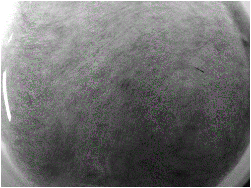 Chopped fiber dispersion and preparation method thereof