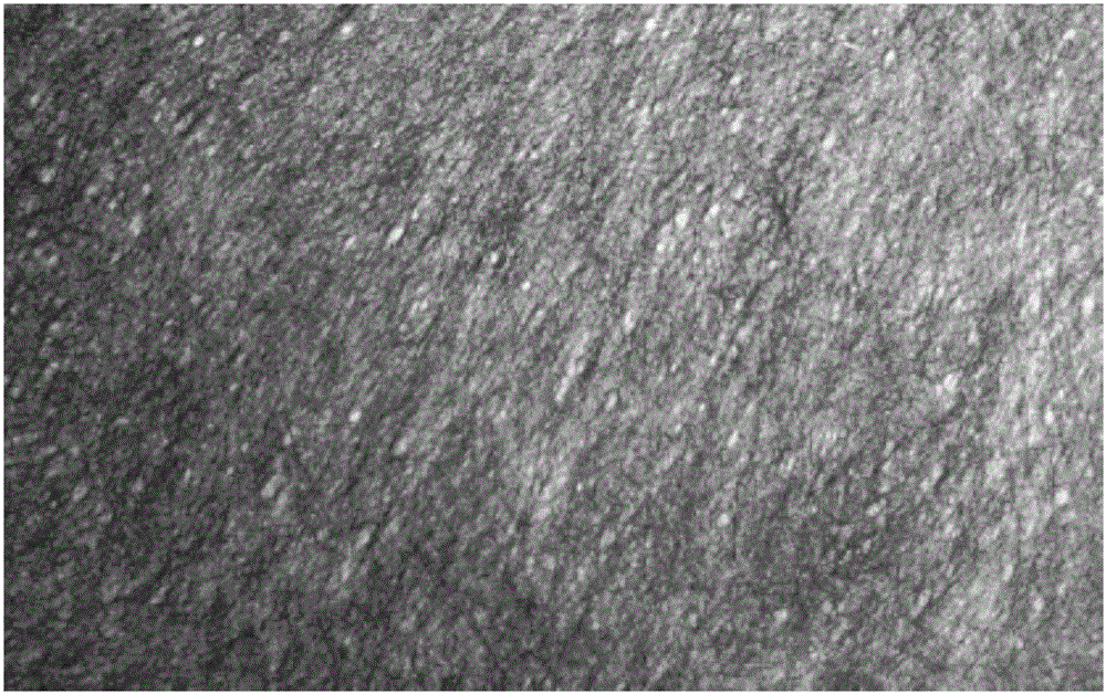 Chopped fiber dispersion and preparation method thereof