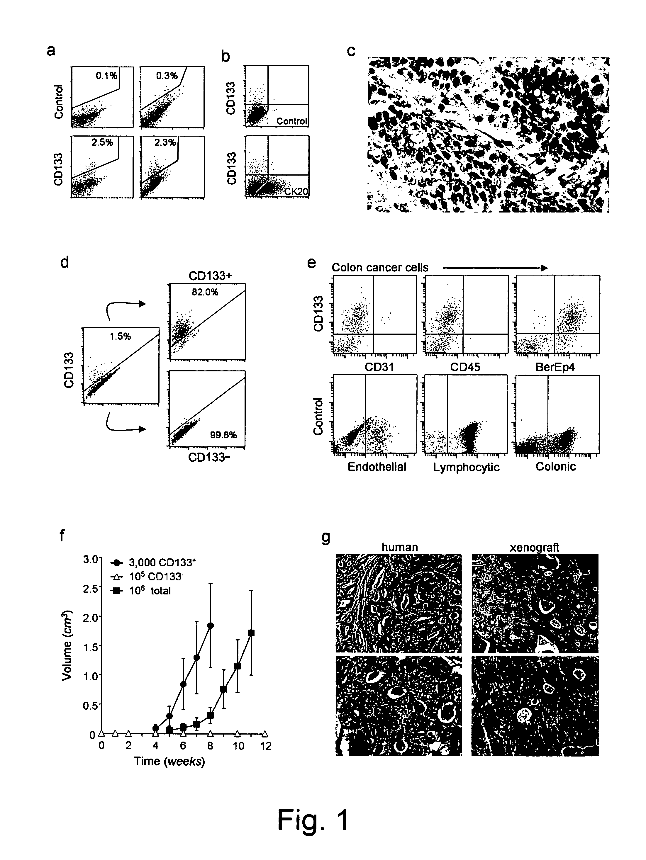 Digestive System Cancer Stem Cells and Tests and Uses Therefor