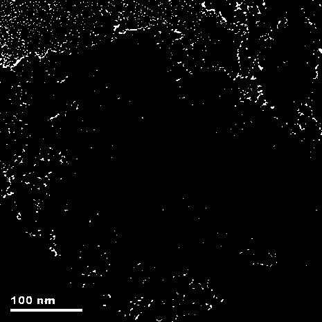 Preparation method of graphene-supported stannic oxide quantum dot negative electrode material for lithium ion battery