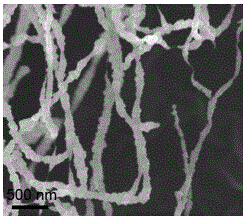 Metal sulfide-coated single-walled carbon nanotube cable and synthetic method thereof