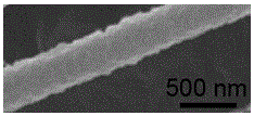 Metal sulfide-coated single-walled carbon nanotube cable and synthetic method thereof