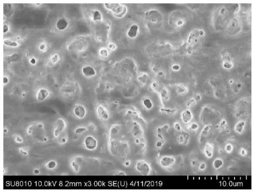 Method for rapidly introducing function ions on surface of titanium alloy