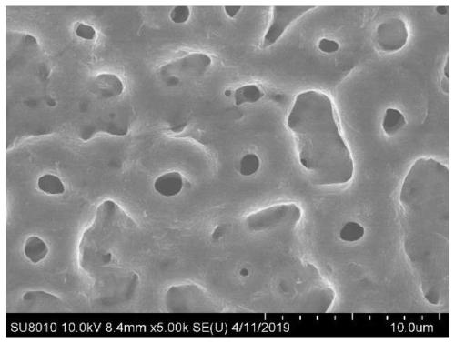 Method for rapidly introducing function ions on surface of titanium alloy