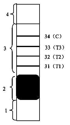 Colloidal gold immunochromatography test paper for antibodies of pseudorabies viruses of gE, gB and gD and preparation method