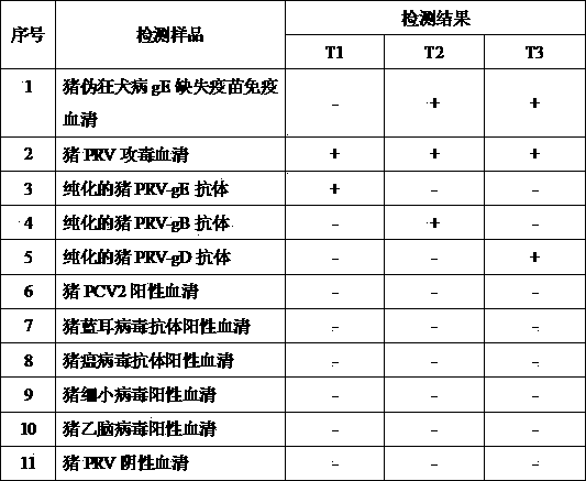 Colloidal gold immunochromatography test paper for antibodies of pseudorabies viruses of gE, gB and gD and preparation method