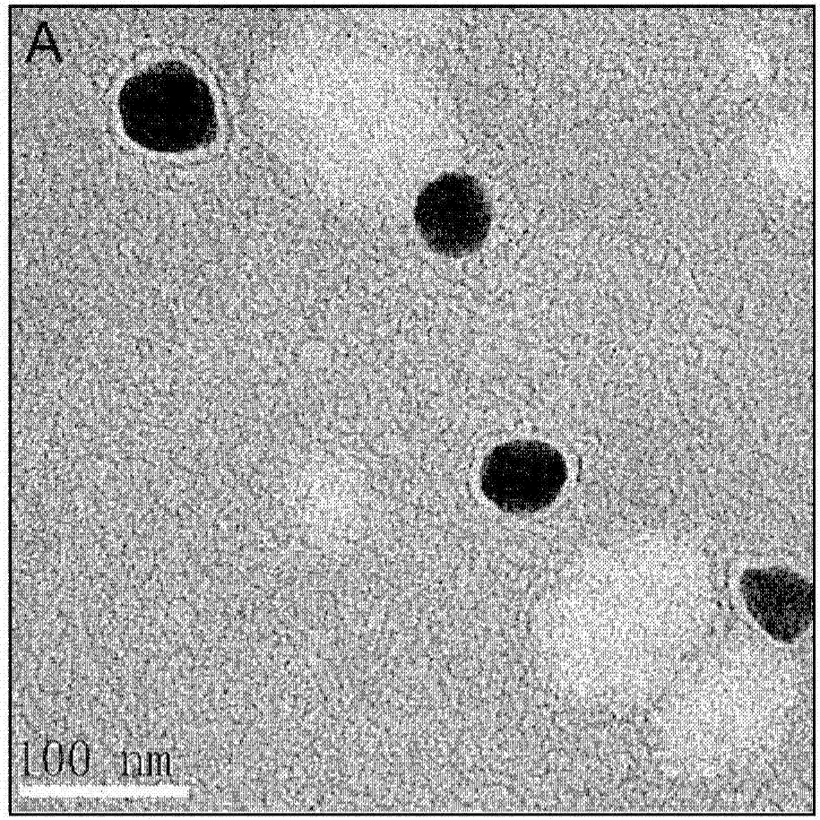 Near-infrared nanoprobe, preparation method and holographic molecular imaging navigation system