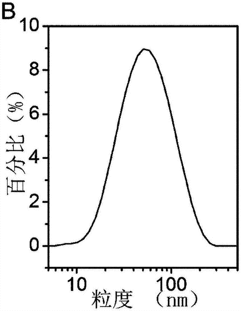 Near-infrared nanoprobe, preparation method and holographic molecular imaging navigation system