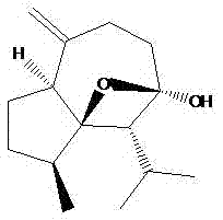 Application of curcumenol in preparation of an antitumor drug sensitizer