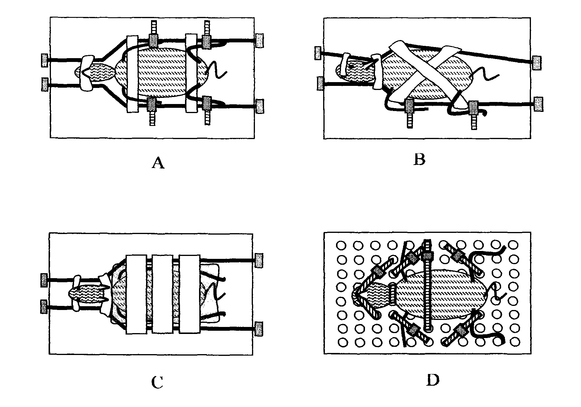 Three-dimensional adjustment animal restraining and fixing device and restraining method thereof