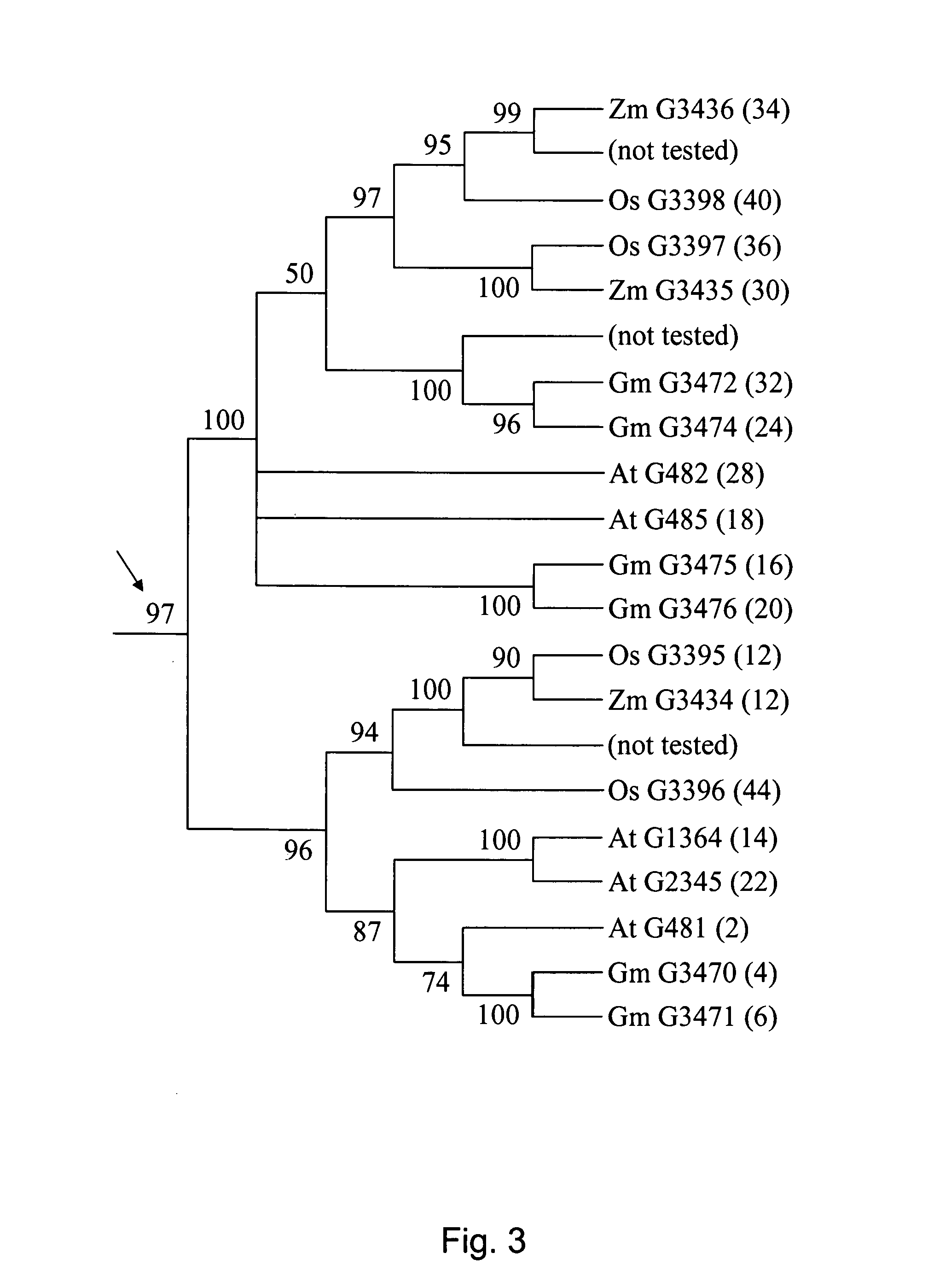 Plants with improved water deficit and cold tolerance