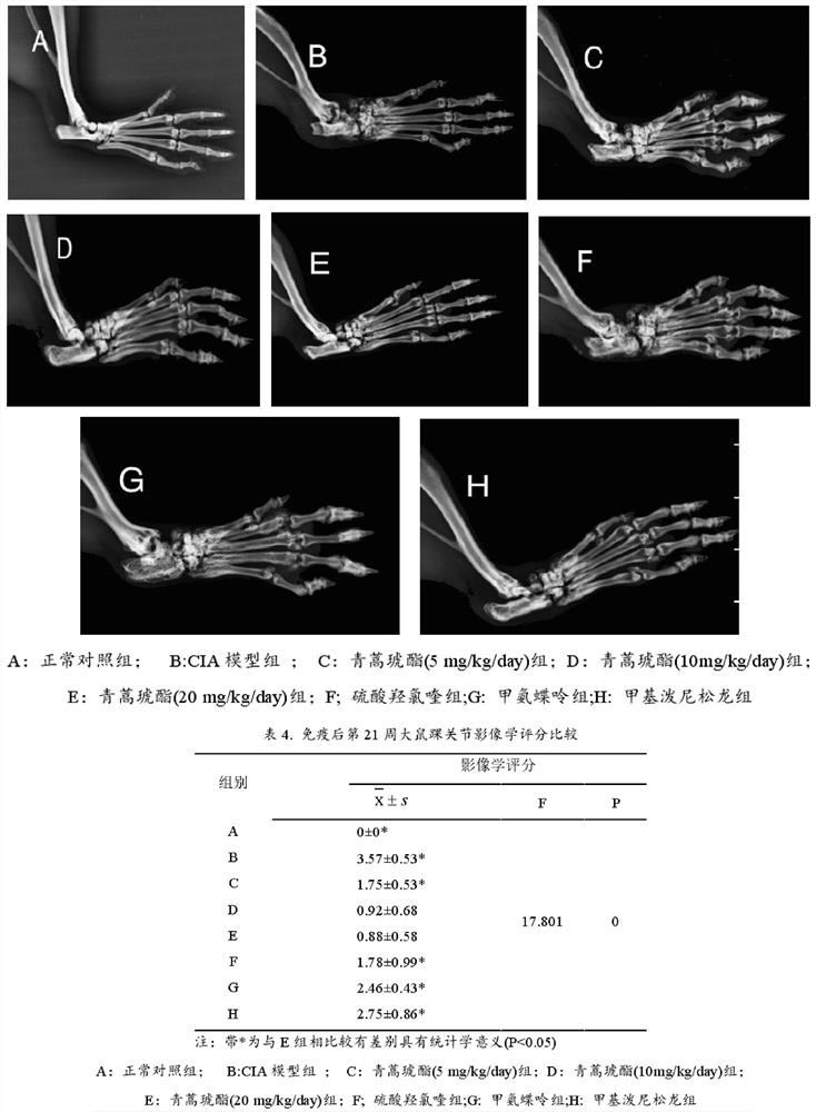 Application of artesunate in treating rheumatoid arthritis model rats