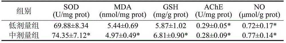 Vegetable oil composition with effect of preventing and treating Alzheimer's disease as well as preparation method and application thereof