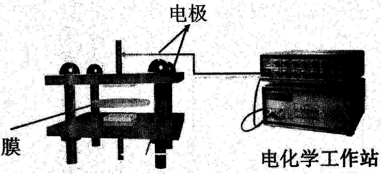 Preparation of carbon nanotube/polyaniline/polysulfone conductive ultrafiltration membrane and membrane pollution online monitoring technology