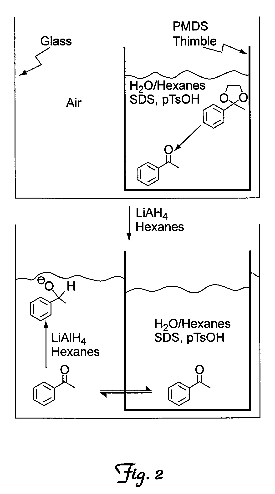 Apparatus and method for carrying out multiple reactions