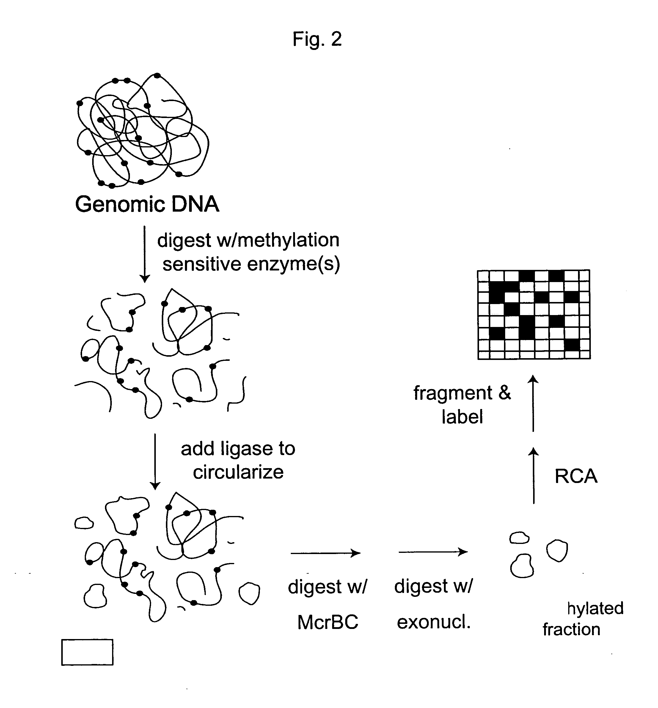 Analysis of methylation using nucleic acid arrays