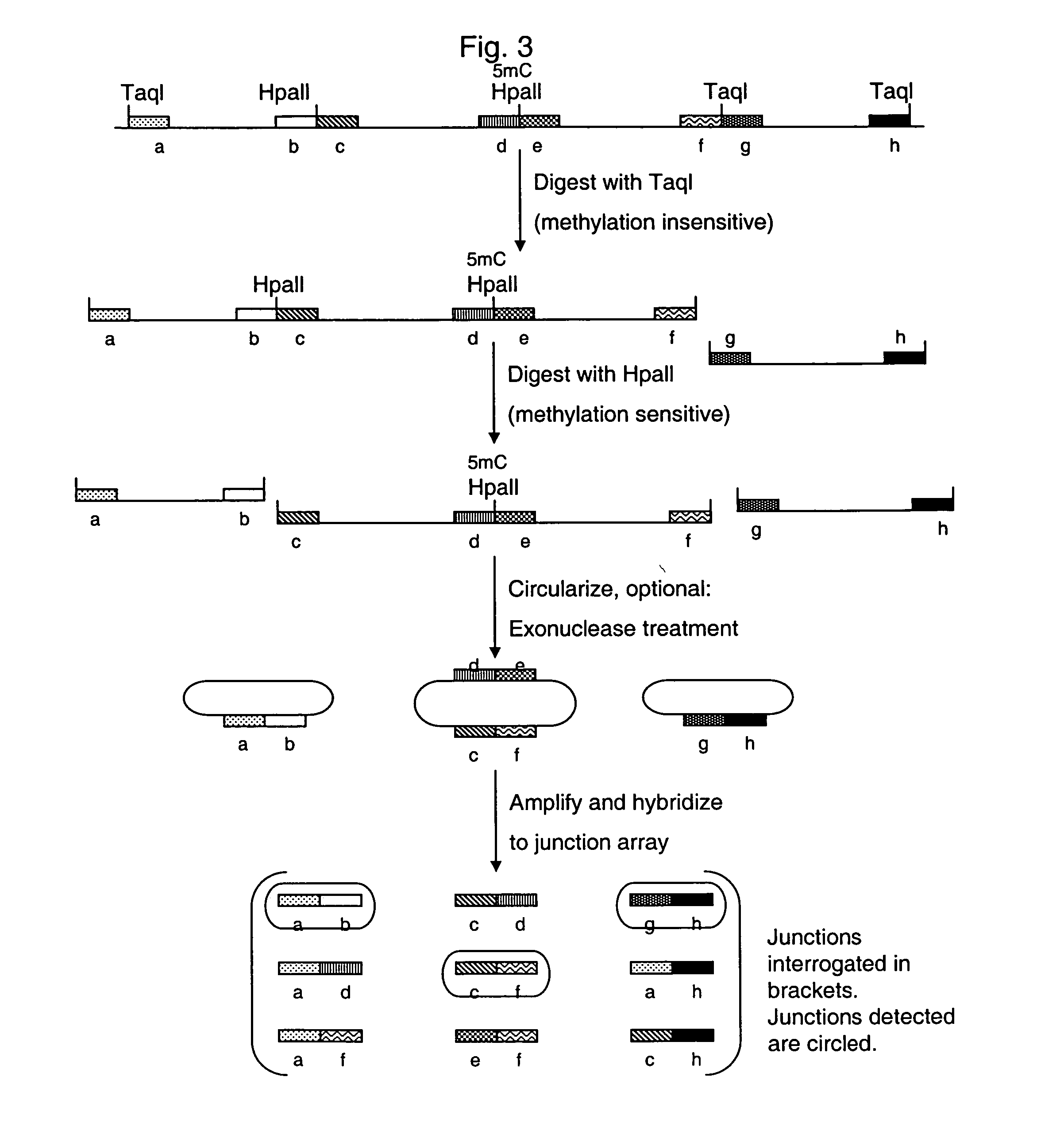 Analysis of methylation using nucleic acid arrays