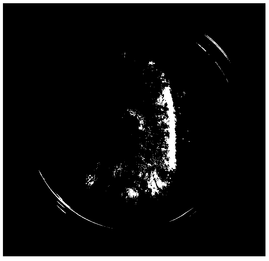 A strain of Debaryoyces hansenii strain and its application