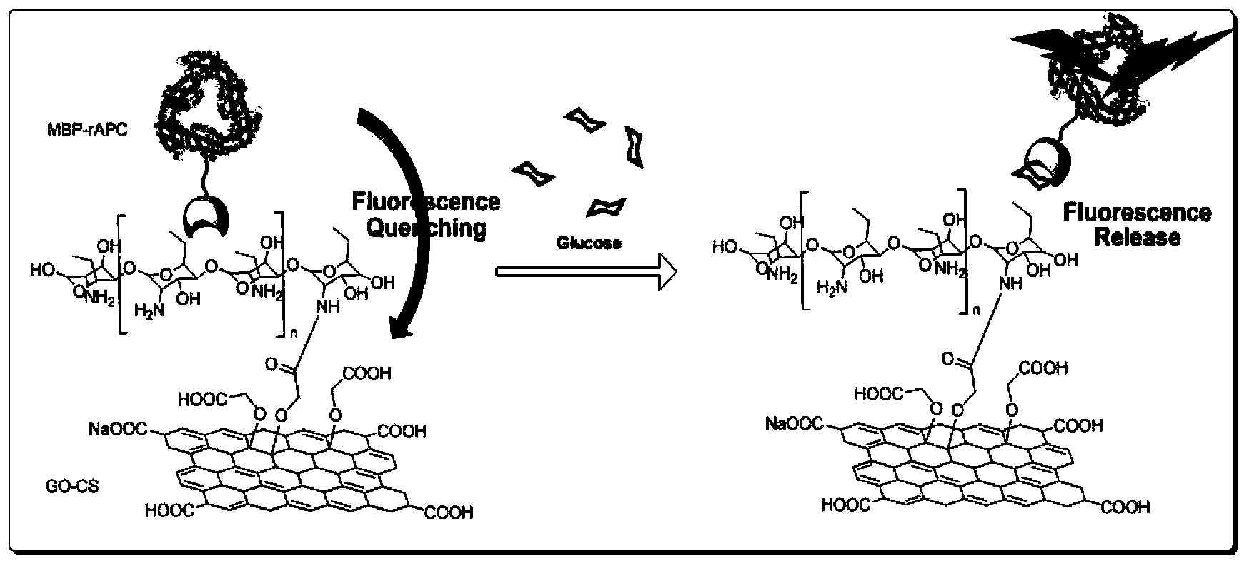 Nanograde biocomposite and applications thereof