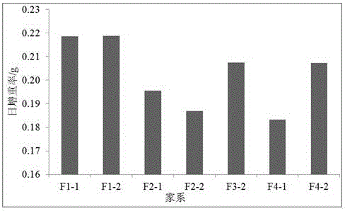 Pseudosciaenapolyactis family establishment and superior family selection method