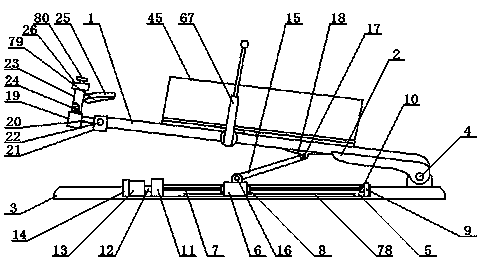 Post thoracic surgery protection and fixing device