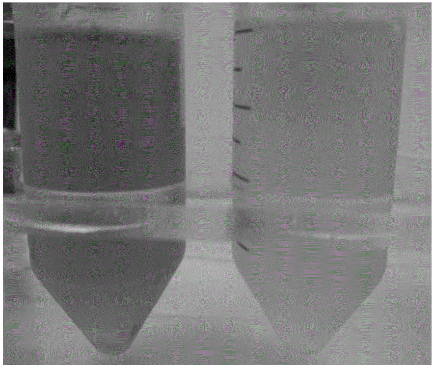 Method for large-scale purification of recombinant human apolipoprotein Apoa-I