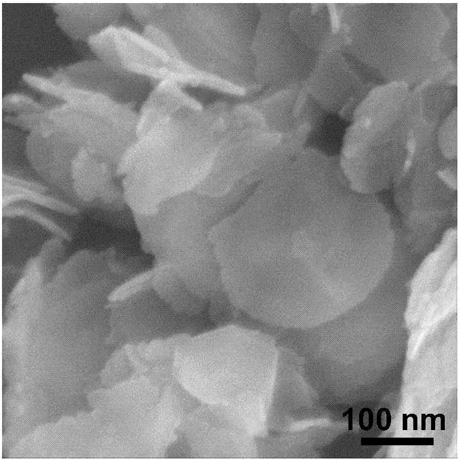 A two-dimensional cuco  <sub>2</sub> the s  <sub>4</sub> Nanosheets and their preparation methods and applications as electrocatalysts in oxygen reduction and oxygen evolution reactions