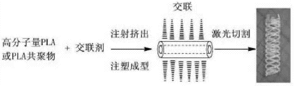 Modified polylactic acid degradable stent and preparation method thereof