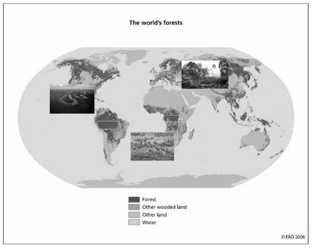 Multi-satellite scheduling method for large-area target observation