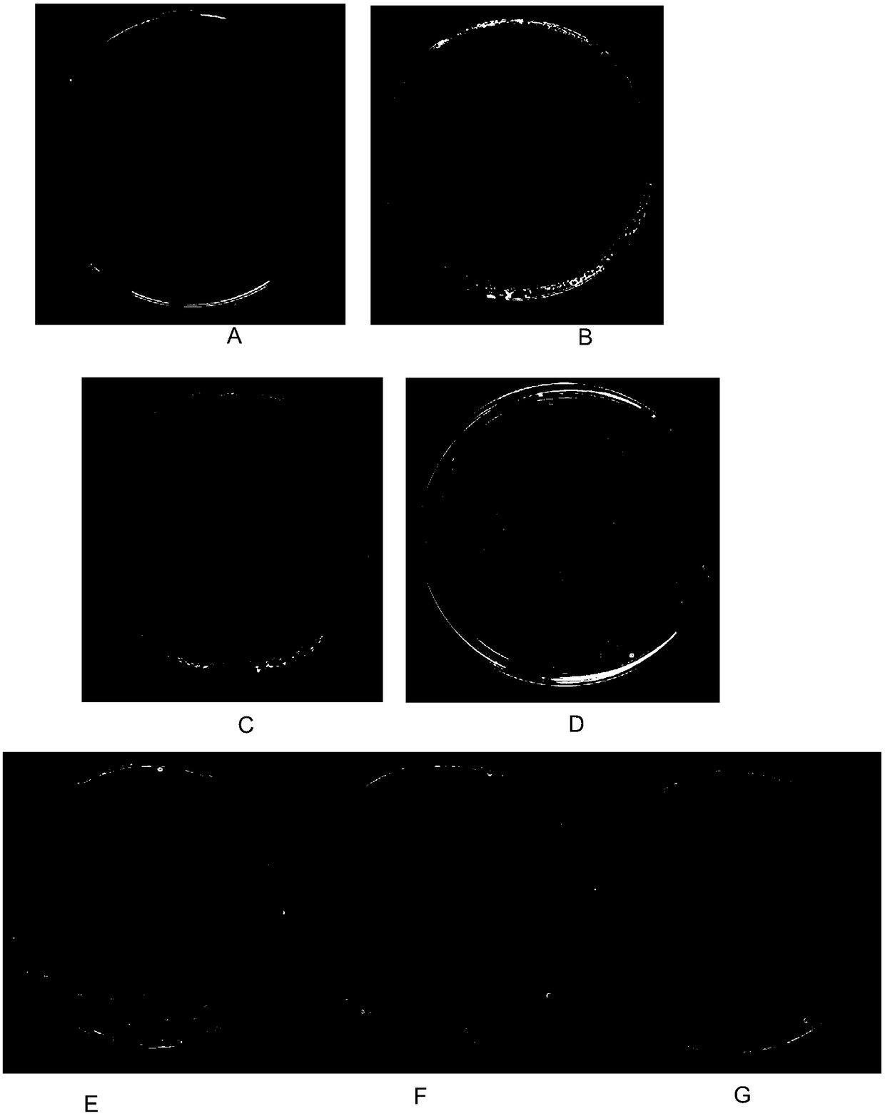 Application of AHL molecule to prevention and control of citrus bacterial canker as antibacterial synergist of chemical pesticide