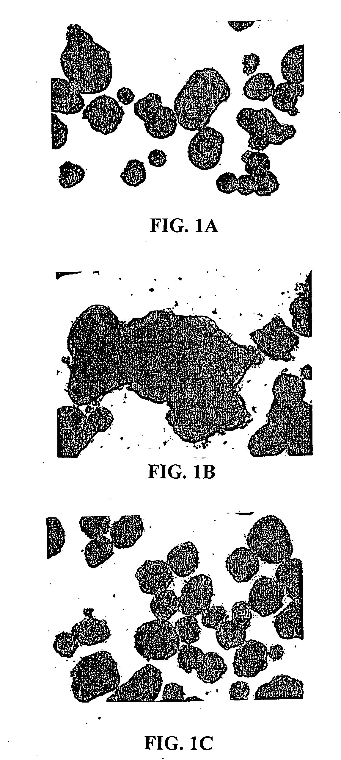 Inhibition of pancreatic islet aggregation