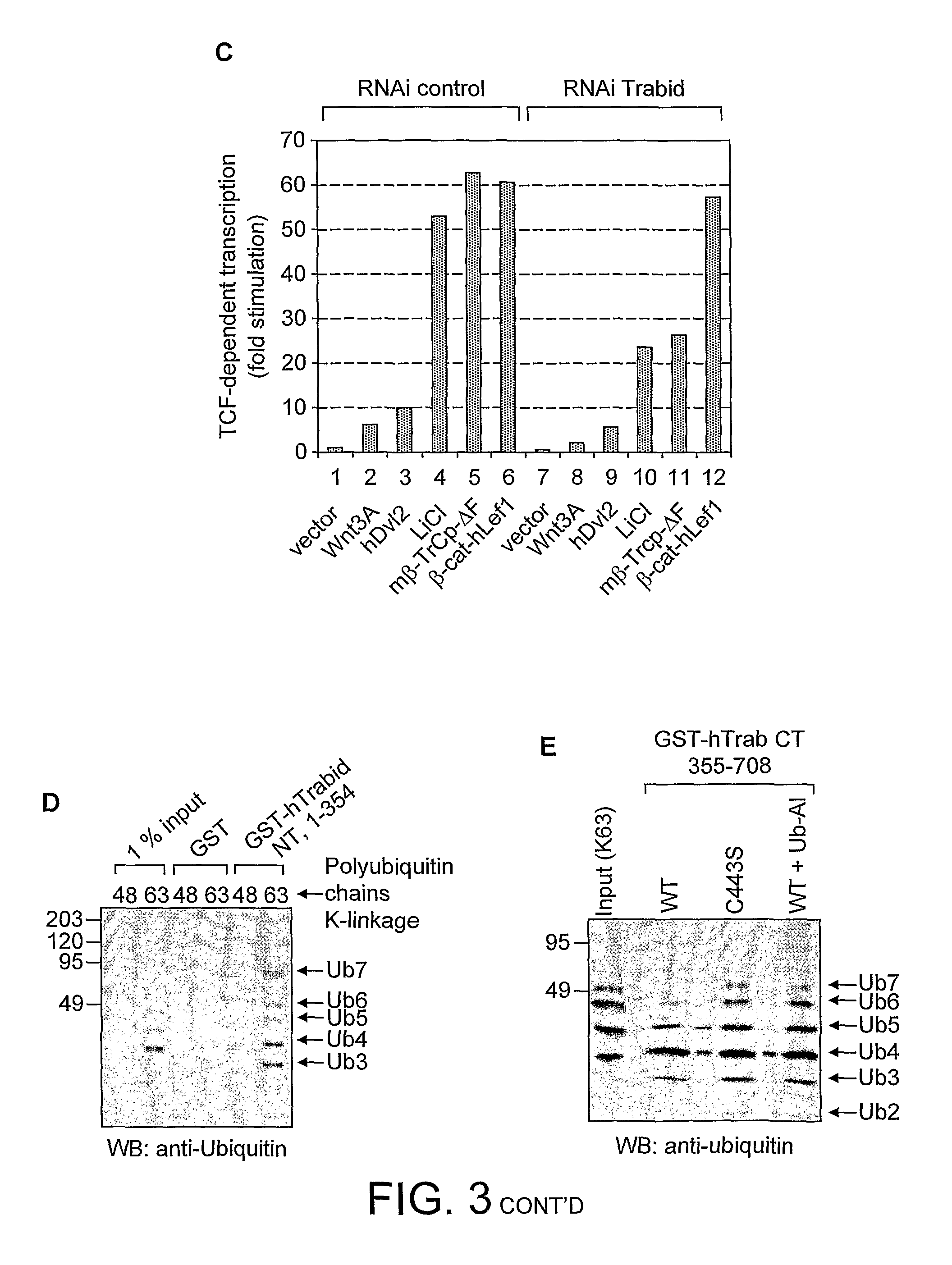 Method of inhibiting human Trabid