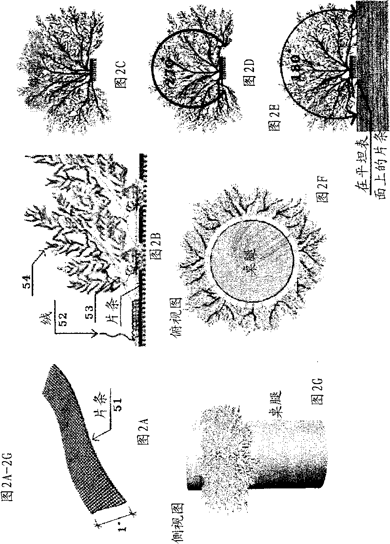 Crawling insect barrier device and corresponding method