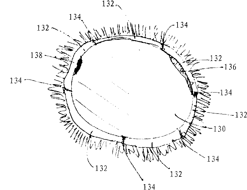 Crawling insect barrier device and corresponding method