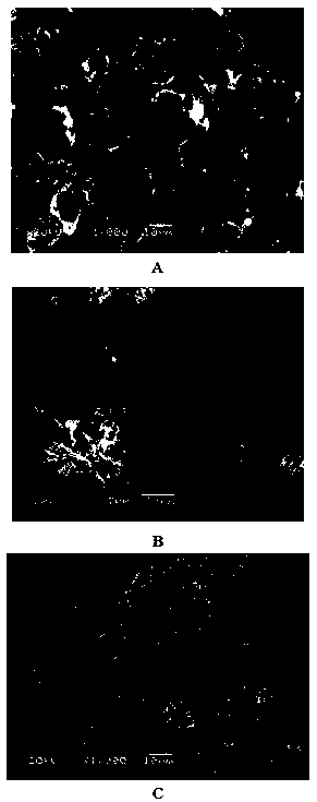 Vermiculite composite filter aid with chain termination features and preparation method thereof