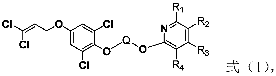 Cyanopyridine-containing dichloropropene ether compound, preparation method and application thereof, and insecticide