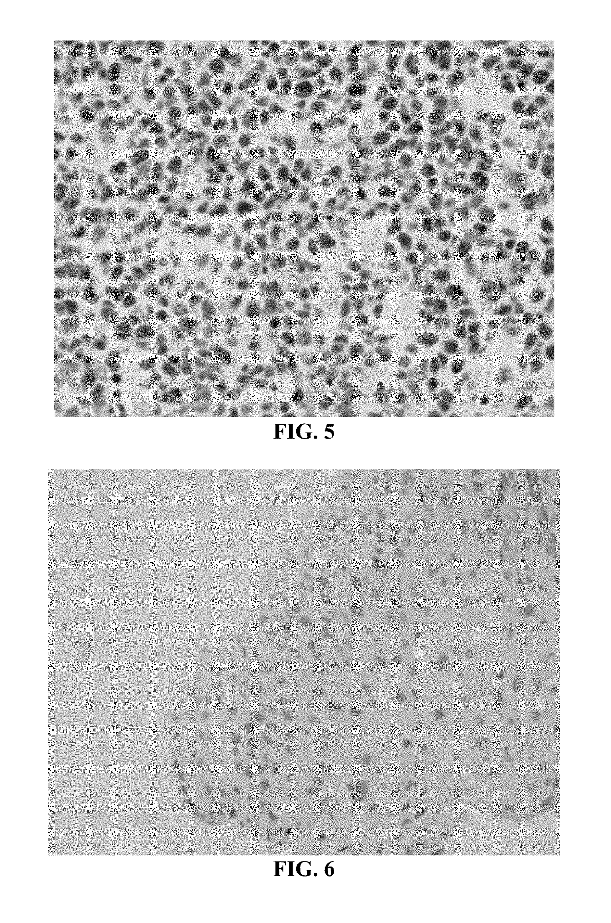 Methods and compositions for preparing samples for immunostaining