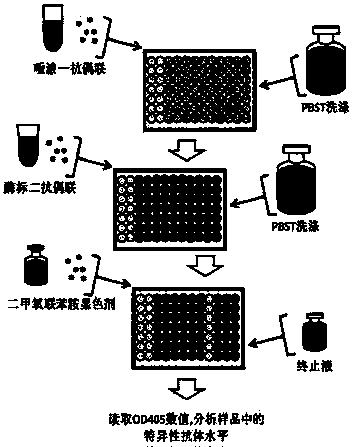 Method for detecting pseudorabies virus gB protein specific antibody in pig saliva