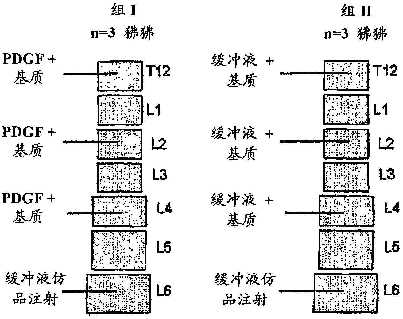 Compositions and methods for treating the vertebral column