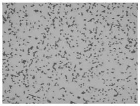 Method for preparing thallus protein extractum from bacterial residue of amino acid fermentation liquor