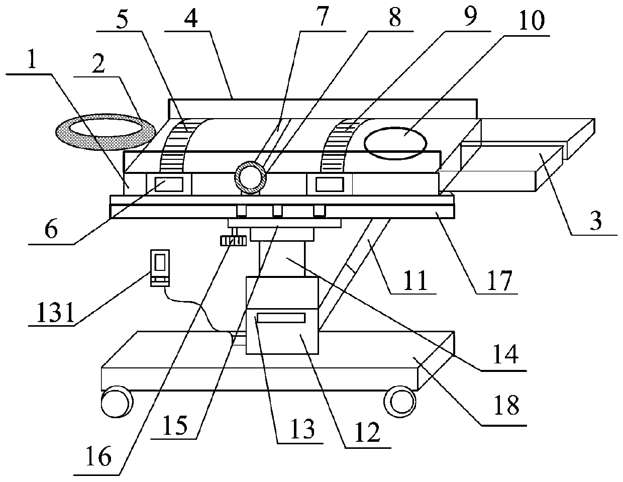 Positioning and adjusting device for assisting ultrasonic examination of limbs of patient