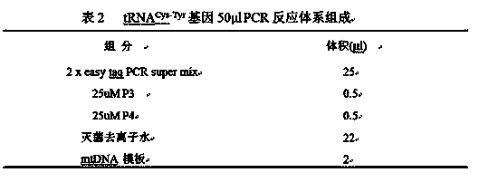 SSCP (single strand conformation polymorphism) detecting method for animal liver bacterial toxin contamination