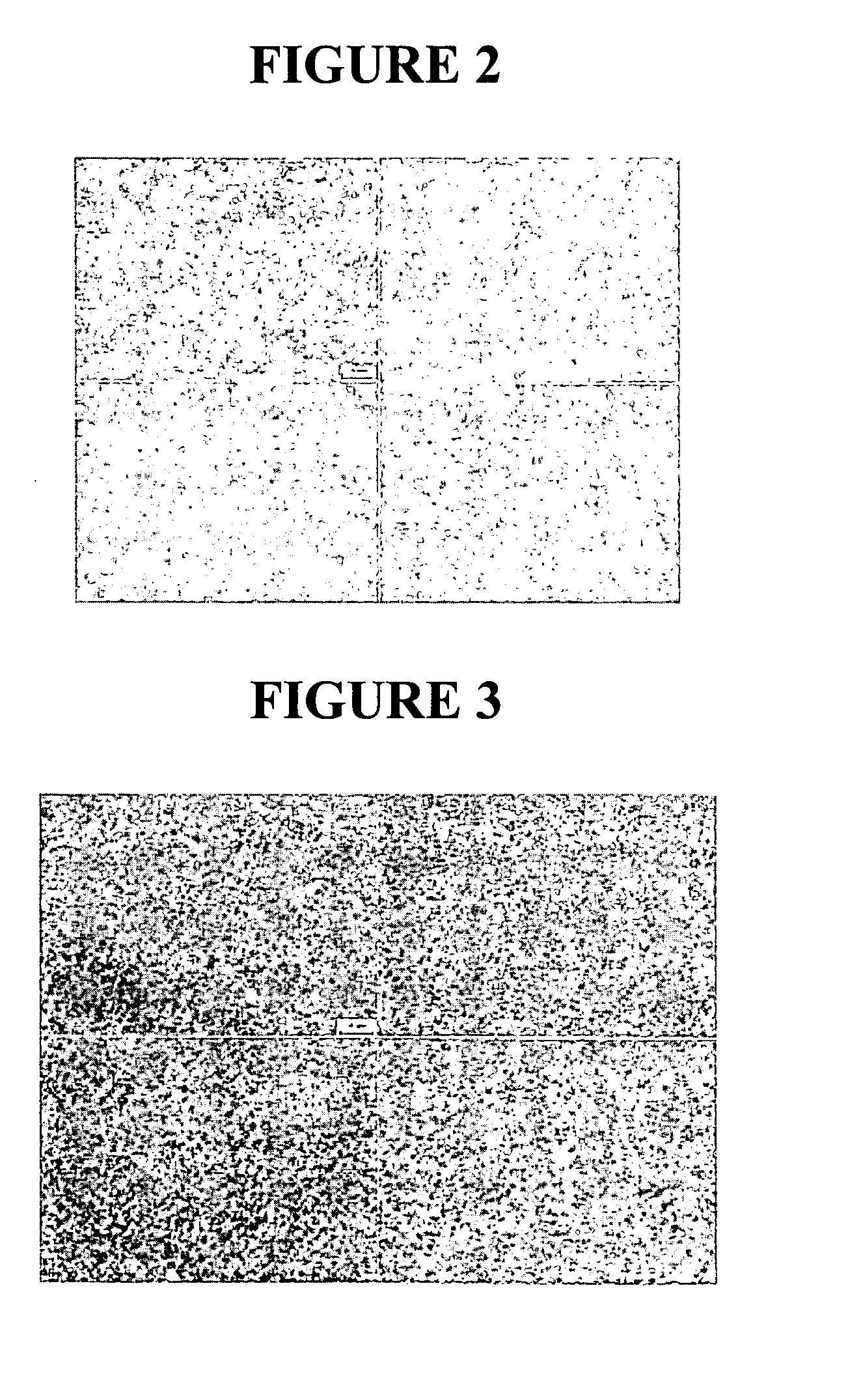 Nanoparticulate tacrolimus formulations