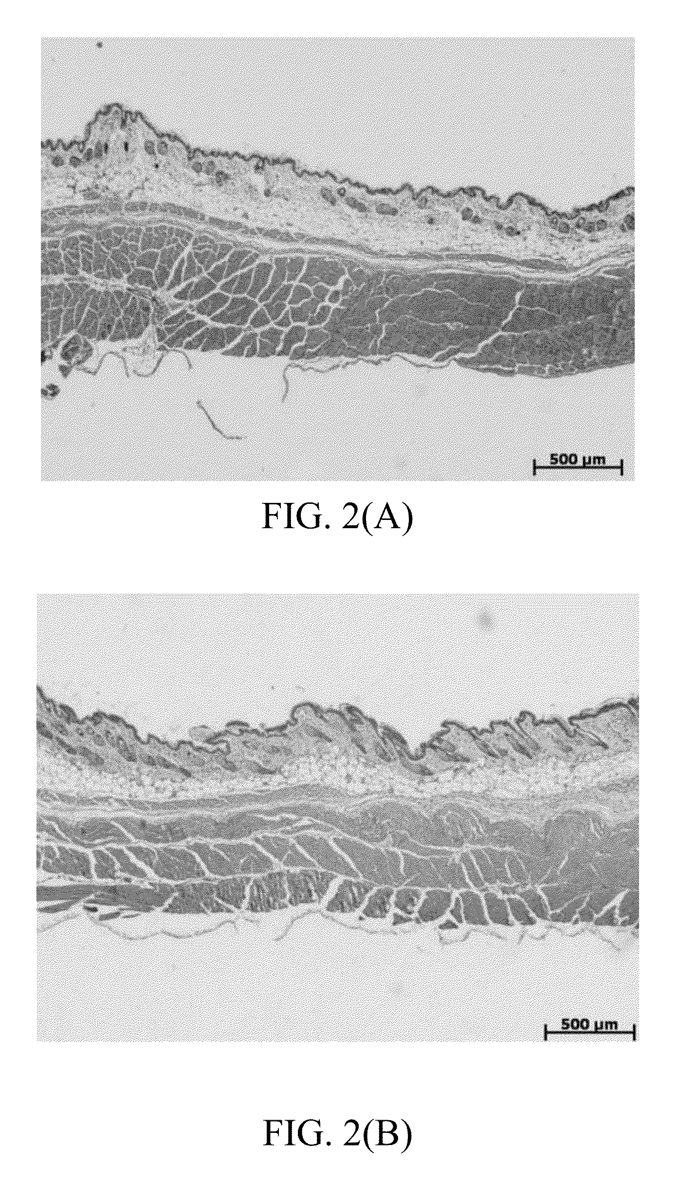 Pharmaceutical uses of diterpene excavatolide B from a coral or an analogue thereof