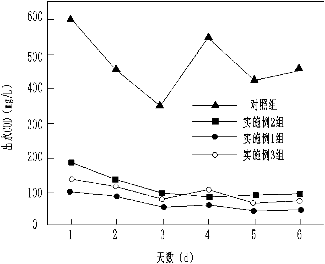 Biodegradable slow-release carbon source filler and preparation method thereof