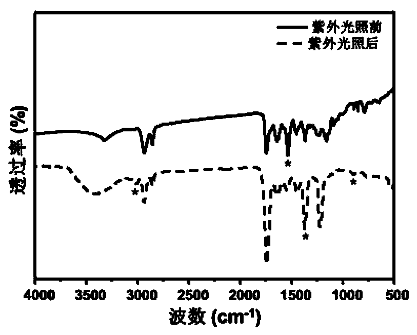 Ultraviolet light-responsive polymer adhesive and its preparation method and use