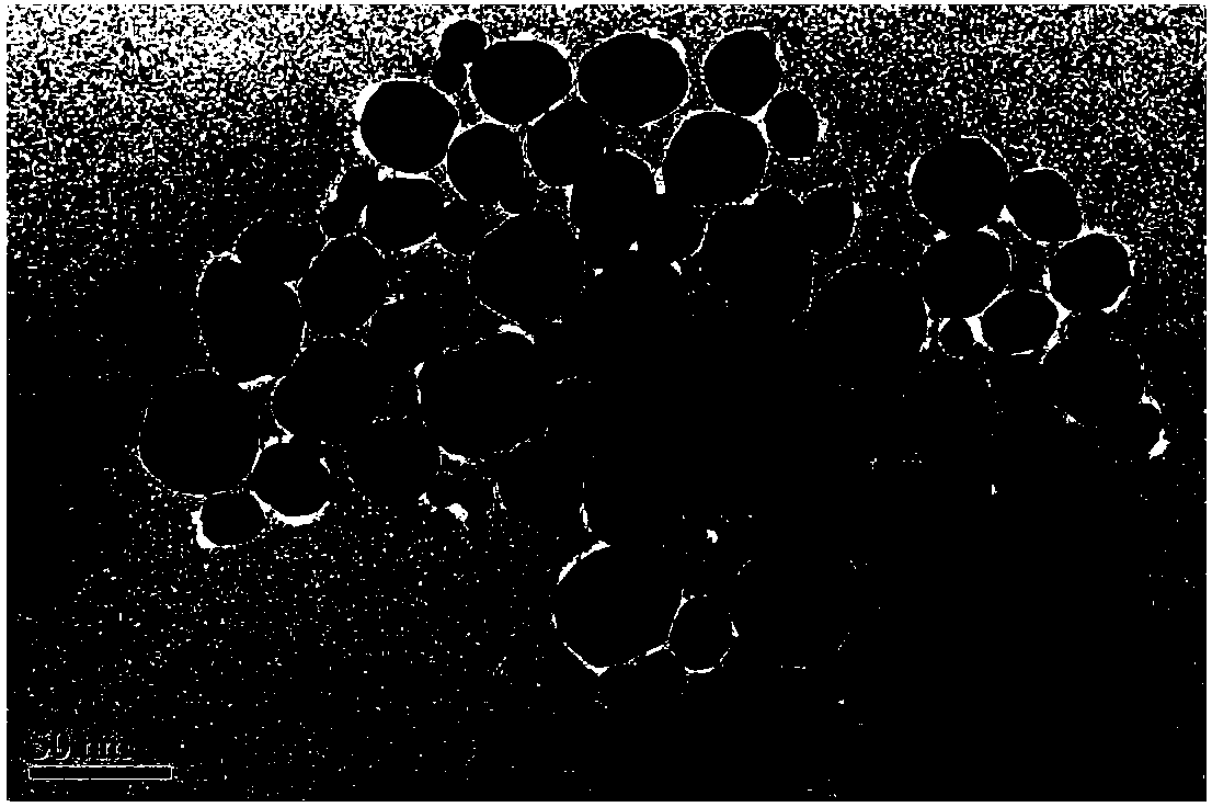 Raman probe used for detection of mercury ions and preparation method thereof